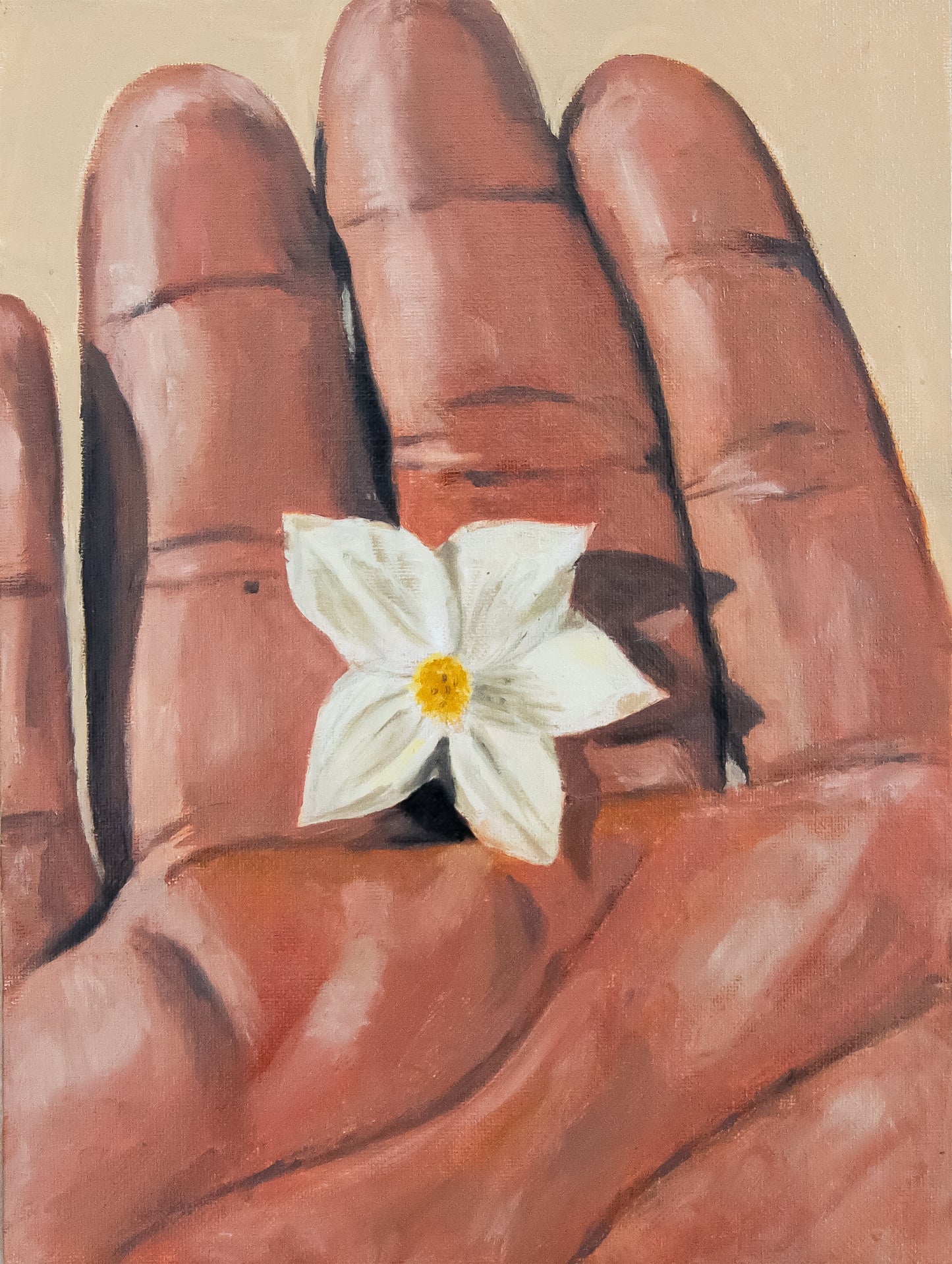 "untold story of a flower."